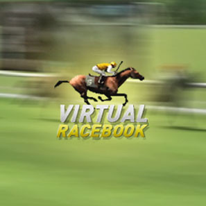 Специфика игрового автомата Virtual Racebook 3D