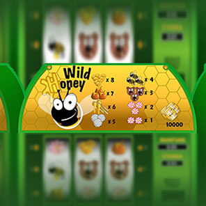 В азартный аппарат Wild Honey можно играть без скачивания без смс без регистрации бесплатно онлайн в режиме демо