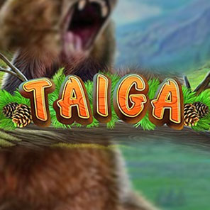 В эмулятор игрового автомата Taiga можно играть без скачивания без регистрации бесплатно онлайн без смс в варианте демо