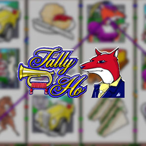 В игровой симулятор Tally Ho можно поиграть без регистрации без скачивания бесплатно без смс онлайн в демо версии